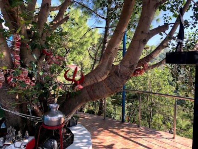 Baba Balak Nath Temple_5